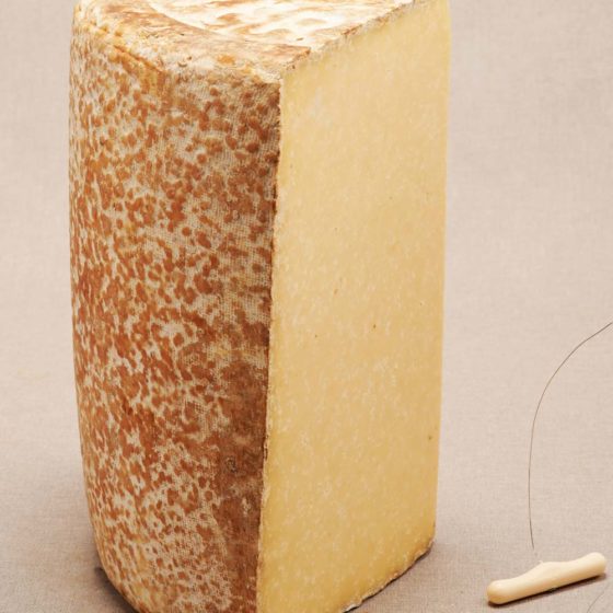 AOP Cantal