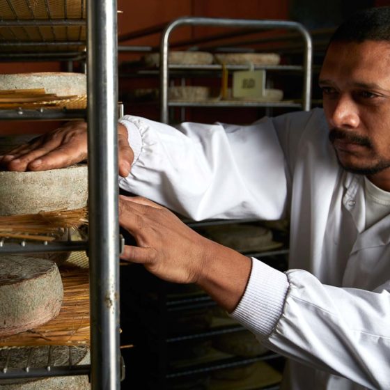 Les Terres d'Auvergne, affineur de fromages fermier d'Auvergne