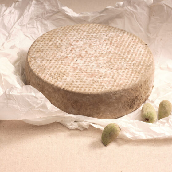 Tomme du Sancy - Terres d'Auvergne