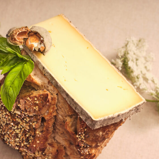 Tomme du Sancy - Terres d'Auvergne